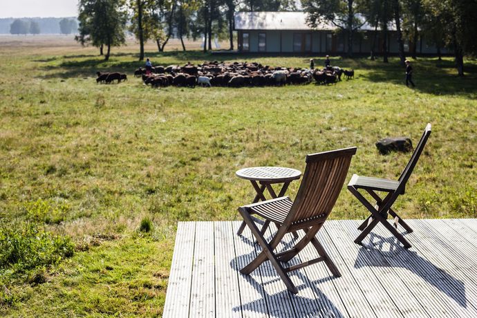 Imagen de la habitación del Hotel Hotelcamp Reinsehlen. Foto 4