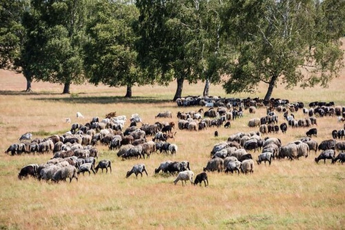 Imagen de la habitación del Hotel Hotelcamp Reinsehlen. Foto 15