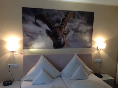 Imagen de la habitación del Hotel Hotel-garni Fels. Foto 15