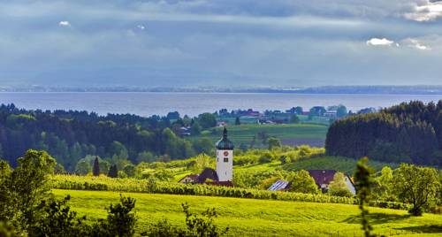 Imagen de la habitación del Hotel Hotel-gasthof Adler. Foto 5