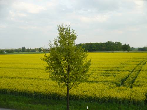 Imagen de la habitación del Hotel Hotel-gastst&auml;tte Mutter Buermann. Foto 4