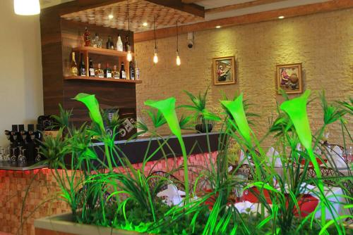 Imagen general del Hotel Hoteli Alifer Tlaxcala X TECAL LIVING. Foto 11