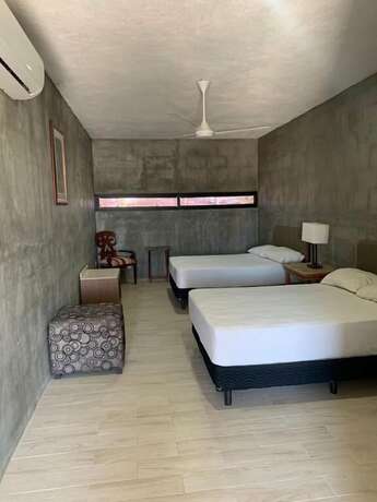 Imagen de la habitación del Hotel Hotelito Inn Aeropuerto. Foto 18