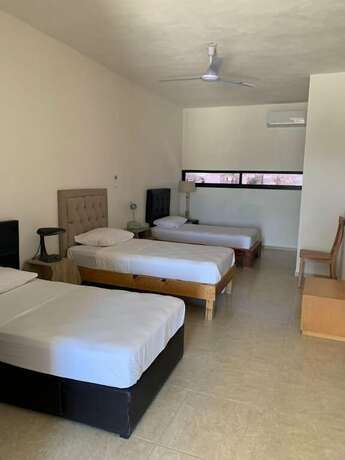 Imagen de la habitación del Hotel Hotelito Inn Aeropuerto. Foto 19