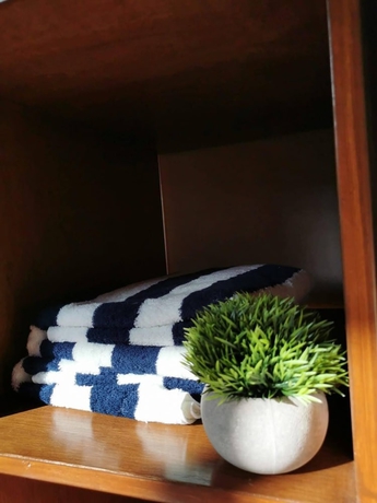 Imagen de la habitación del Hotel Hotelito Yum Kaax. Foto 7