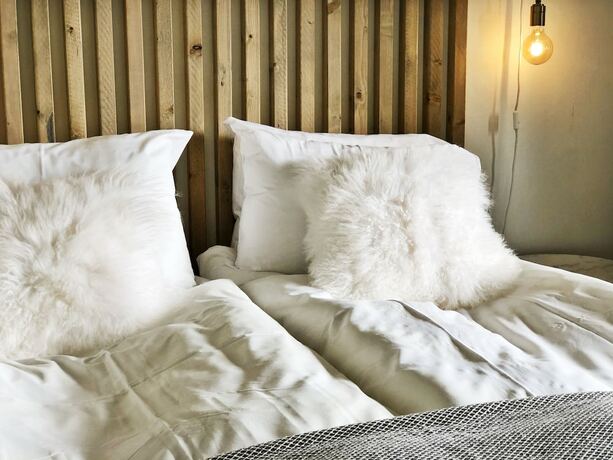 Imagen general del Hotel Hotell &Aring;re Fj&auml;lls&auml;tra. Foto 8