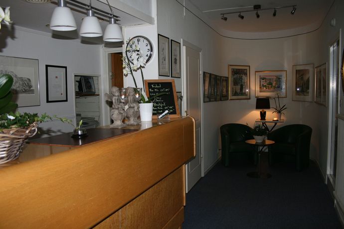 Imagen de los interiores del Hotel Hotell Gillet. Foto 14