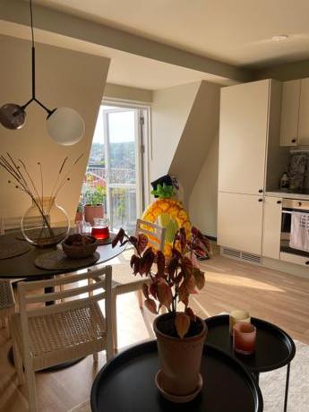 Imagen general del Hotel Hotell Han&ouml;hus H&auml;llevik. Foto 4
