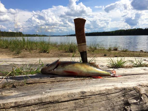 Imagen general del Hotel Hotell Vindelngallerian. Foto 3