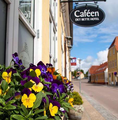 Imagen de los interiores del Hotel Hotellet. Foto 20