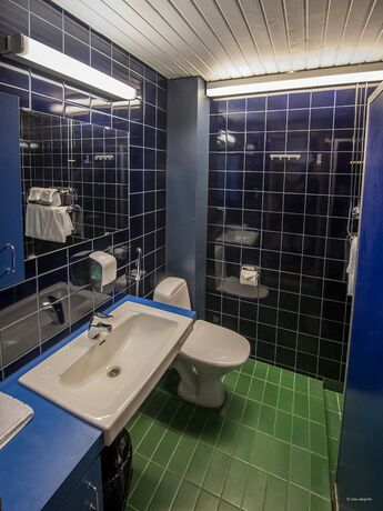 Imagen general del Hotel Hotelli Mesik&auml;mmen Oy. Foto 10