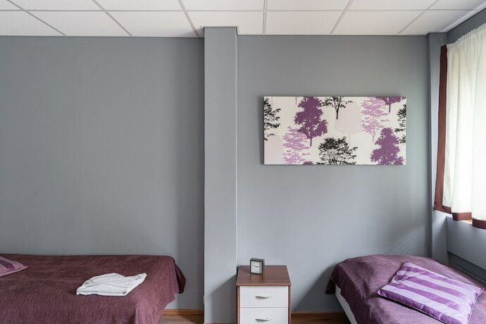 Imagen general del Hotel Hotelli Selli. Foto 8