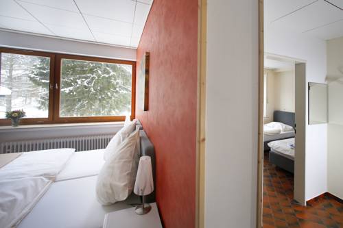 Imagen de la habitación del Hotel Hotel-pension Zum Paradies. Foto 11