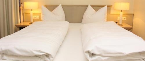 Imagen general del Hotel Hotel-restaurant Amadeus. Foto 4