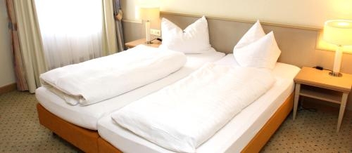 Imagen general del Hotel Hotel-restaurant Amadeus. Foto 5