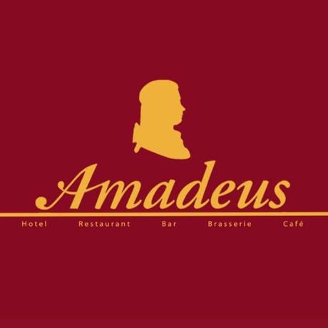 Imagen general del Hotel Hotel-restaurant Amadeus. Foto 6