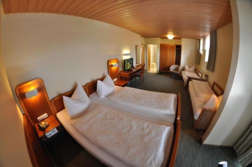 Imagen general del Hotel Hotel-restaurant Berghof, Fulda. Foto 3