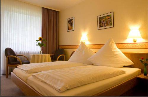 Imagen general del Hotel Hotel-restaurant Müller. Foto 1