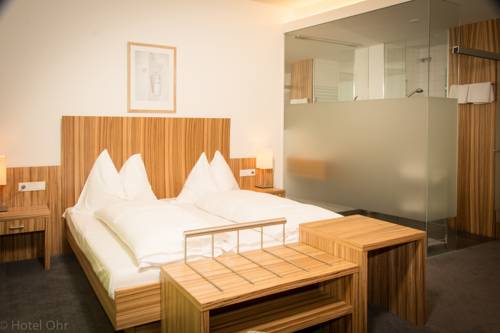 Imagen de la habitación del Hotel Hotel-restaurant Ohr. Foto 5