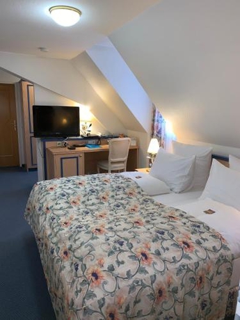 Imagen general del Hotel Hotel-restaurant Schwanen. Foto 3