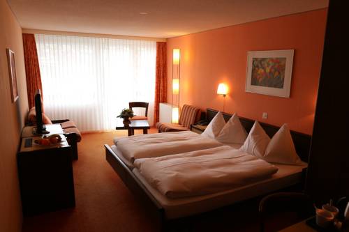 Imagen de la habitación del Hotel Hotel-restaurant Seegarten-marina. Foto 11