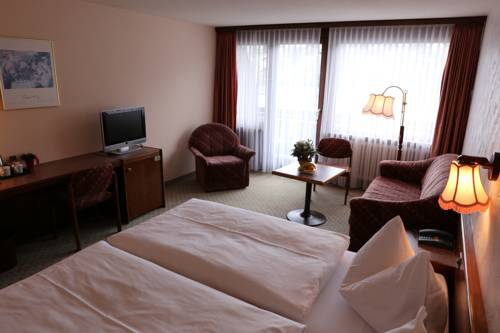 Imagen de la habitación del Hotel Hotel-restaurant Seegarten-marina. Foto 12