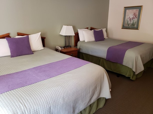 Imagen de la habitación del Hotel Hotsprings Village Inn. Foto 4
