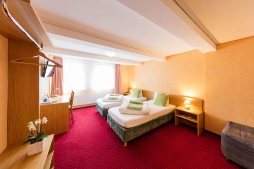 Imagen de la habitación del Hotel H&ouml;fli. Foto 10