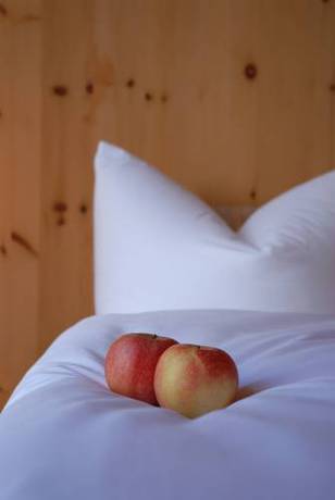 Imagen de la habitación del Hotel H&ouml;rger Biohotel Und Tafernwirtschaft. Foto 3