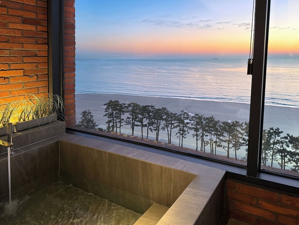 Imagen de la habitación del Hotel Hound Daecheon. Foto 8