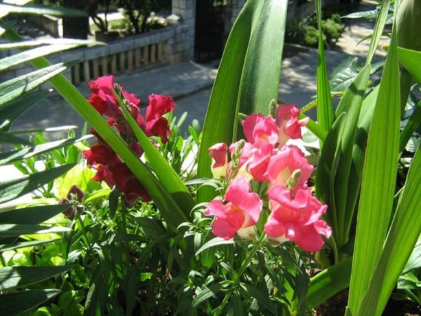 Imagen de la habitación del Hotel House Boninovo - Adults Only. Foto 13