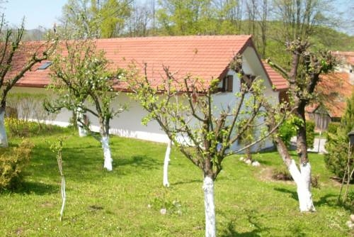 Imagen general del Hotel House Giga. Foto 6