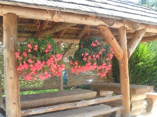 Imagen general del Hotel House Sara. Foto 8