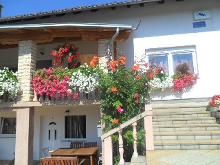 Imagen general del Hotel House Sara. Foto 9