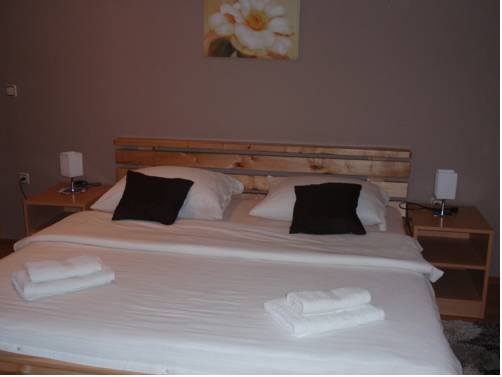 Imagen general del Hotel House Zupan. Foto 6