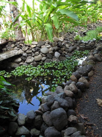 Imagen de los exteriores del Hotel House of the Macaws. Foto 7