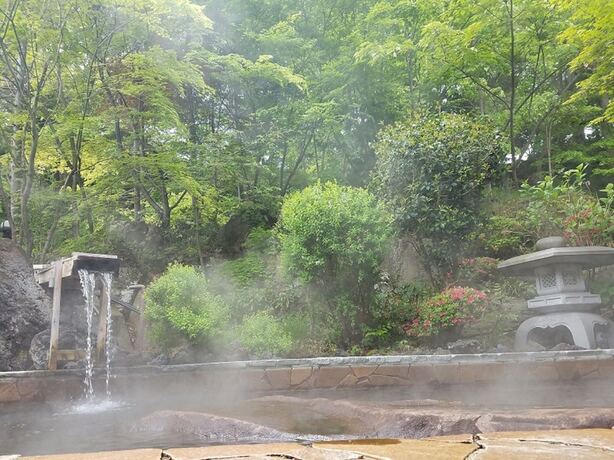 Imagen general del Hotel Housei. Foto 8