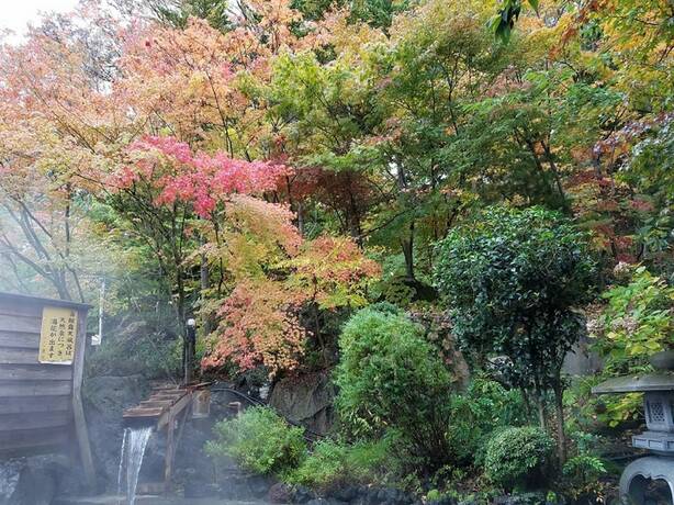 Imagen general del Hotel Housei. Foto 9