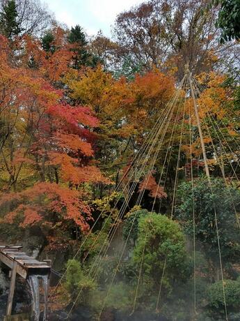 Imagen general del Hotel Housei. Foto 11