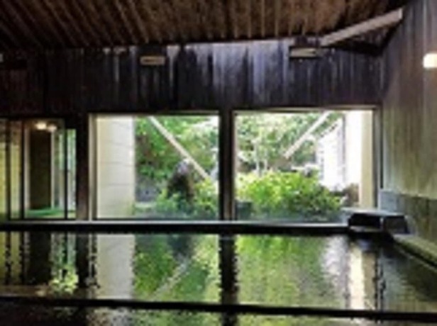 Imagen general del Hotel Housei. Foto 15