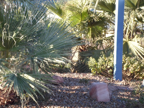 Imagen de los exteriores del Hotel Howard Johnson By Wyndham Las Vegas Near The Strip. Foto 8