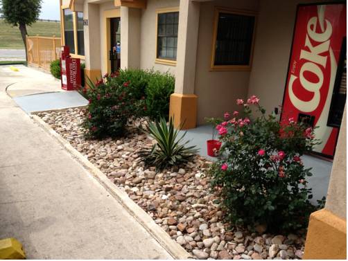 Imagen de la habitación del Hotel Howard Johnson By Wyndham San Marcos. Foto 3