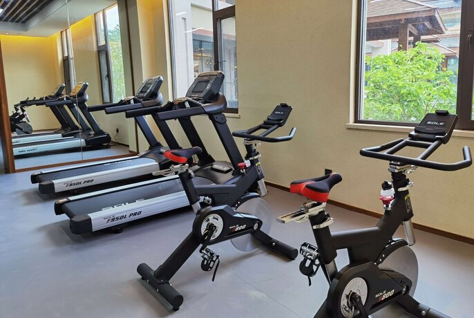 Imagen de los interiores del Hotel Howard Johnson The Bund Hotel Gasa. Foto 21