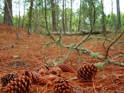 Imagen general del Hotel Howard Johnson by Wyndham Carilo Convention Center. Foto 2