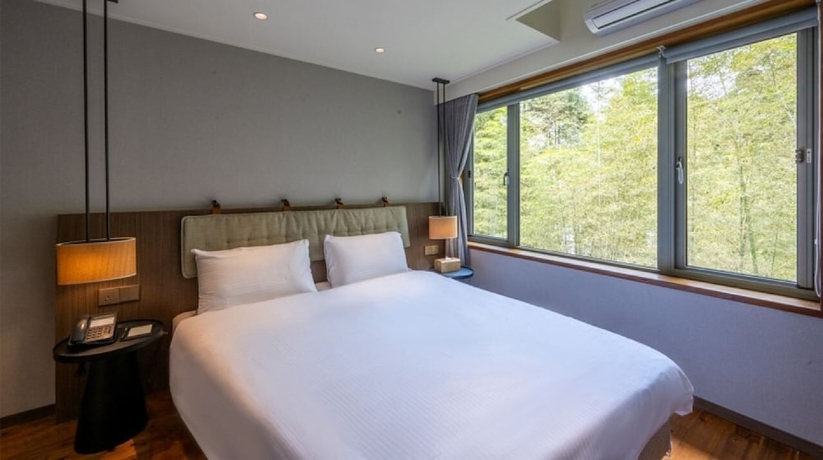 Imagen general del Hotel Howard RESORT Xitou. Foto 1