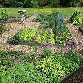 Imagen de la habitación del Hotel Howfield Manor. Foto 3