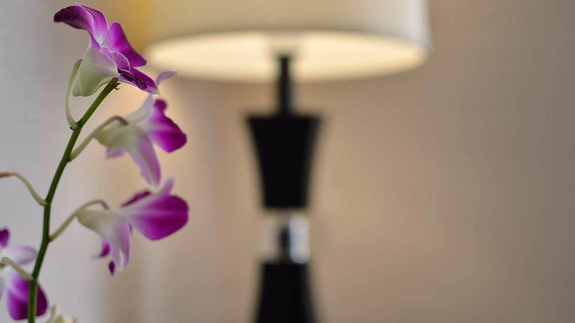 Imagen de la habitación del Hotel Hoya Resort Taitung. Foto 14