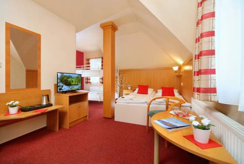 Imagen de la habitación del Hotel Hradec. Foto 3