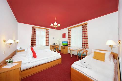 Imagen de la habitación del Hotel Hradec. Foto 9