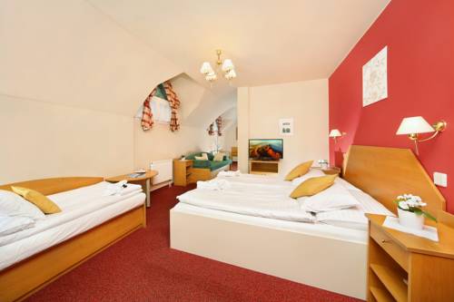 Imagen de la habitación del Hotel Hradec. Foto 10